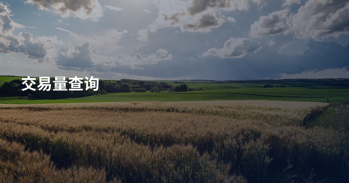 交易量查询