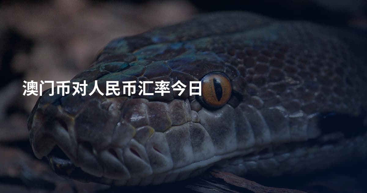 澳门币对人民币汇率今日