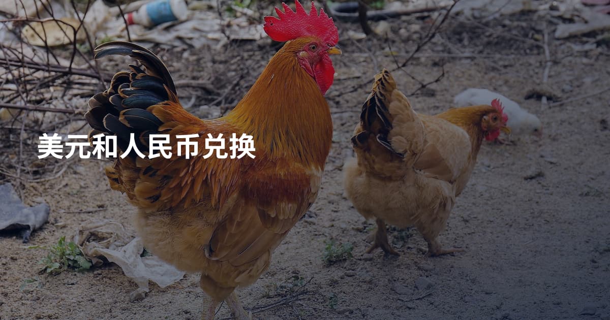 美元和人民币兑换