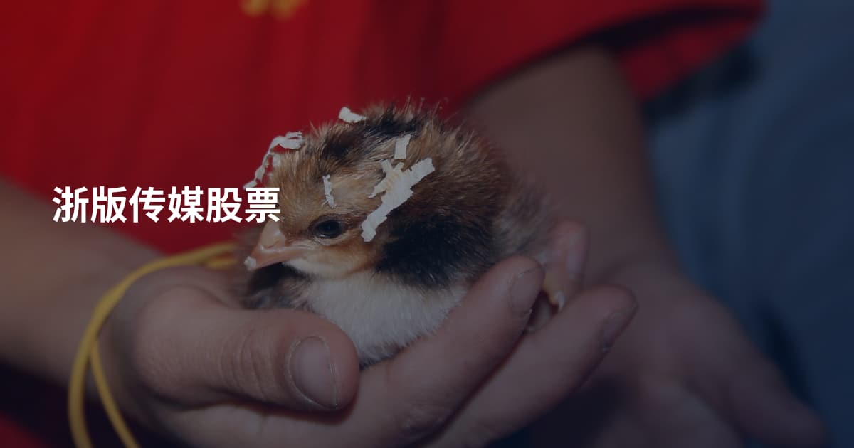 浙版传媒股票
