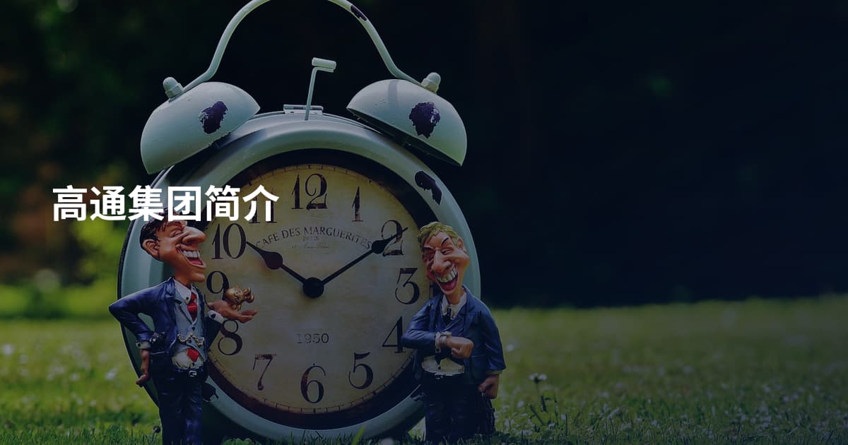 高通集团简介