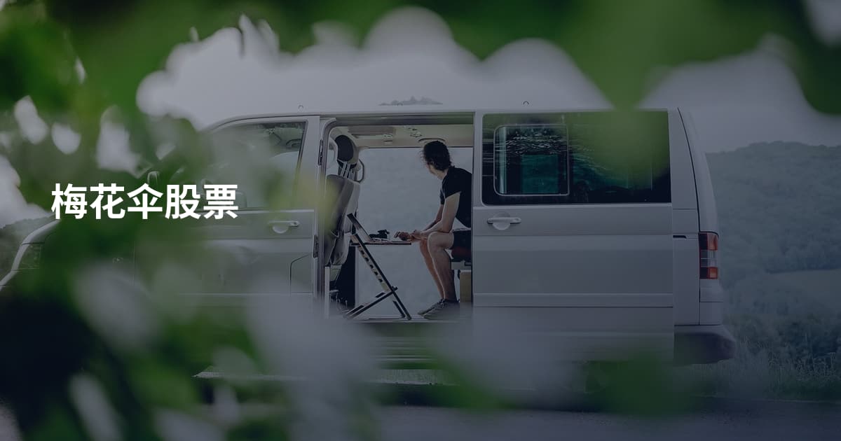 梅花伞股票