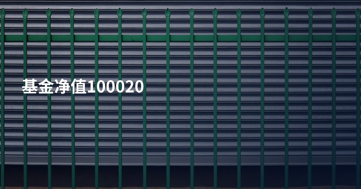 基金净值100020