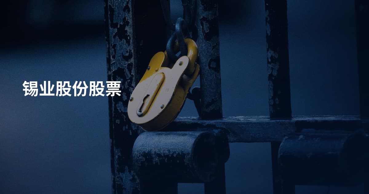 锡业股份股票