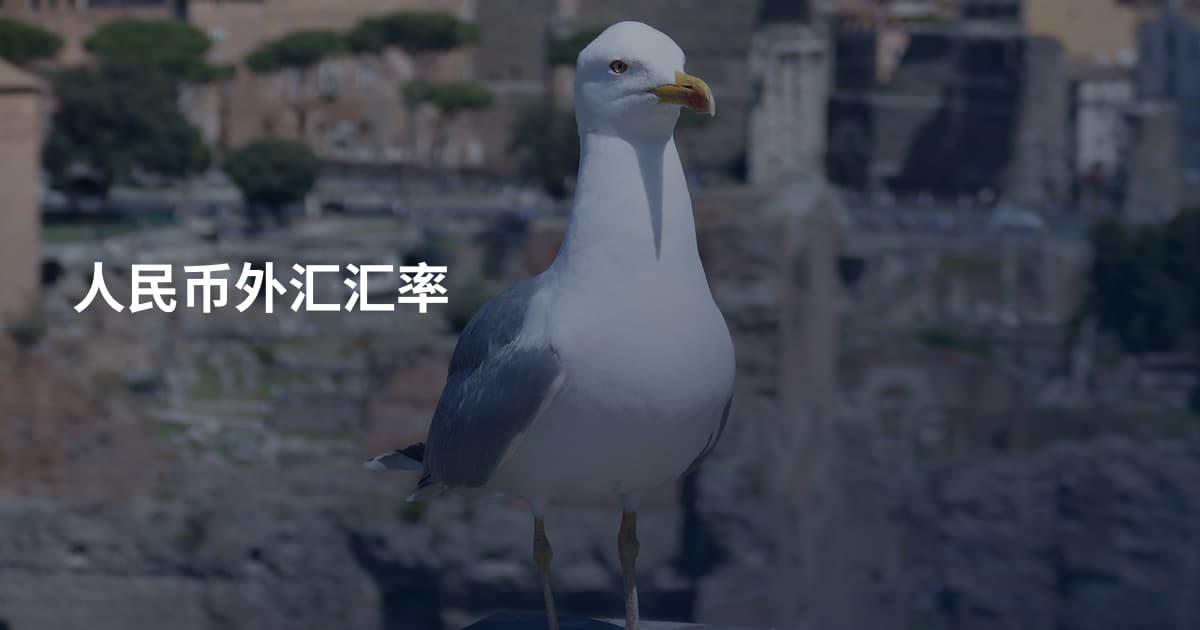 人民币外汇汇率