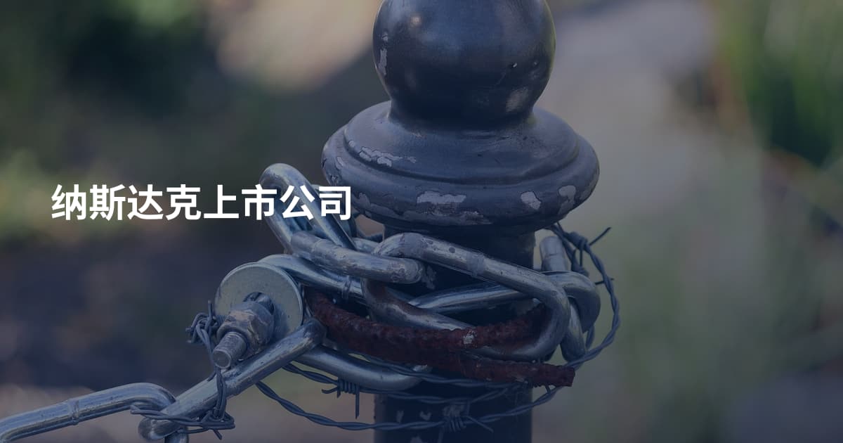 纳斯达克上市公司