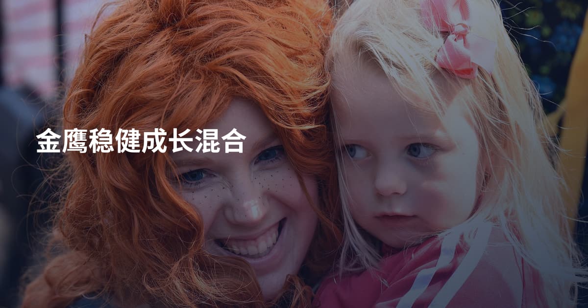 金鹰稳健成长混合