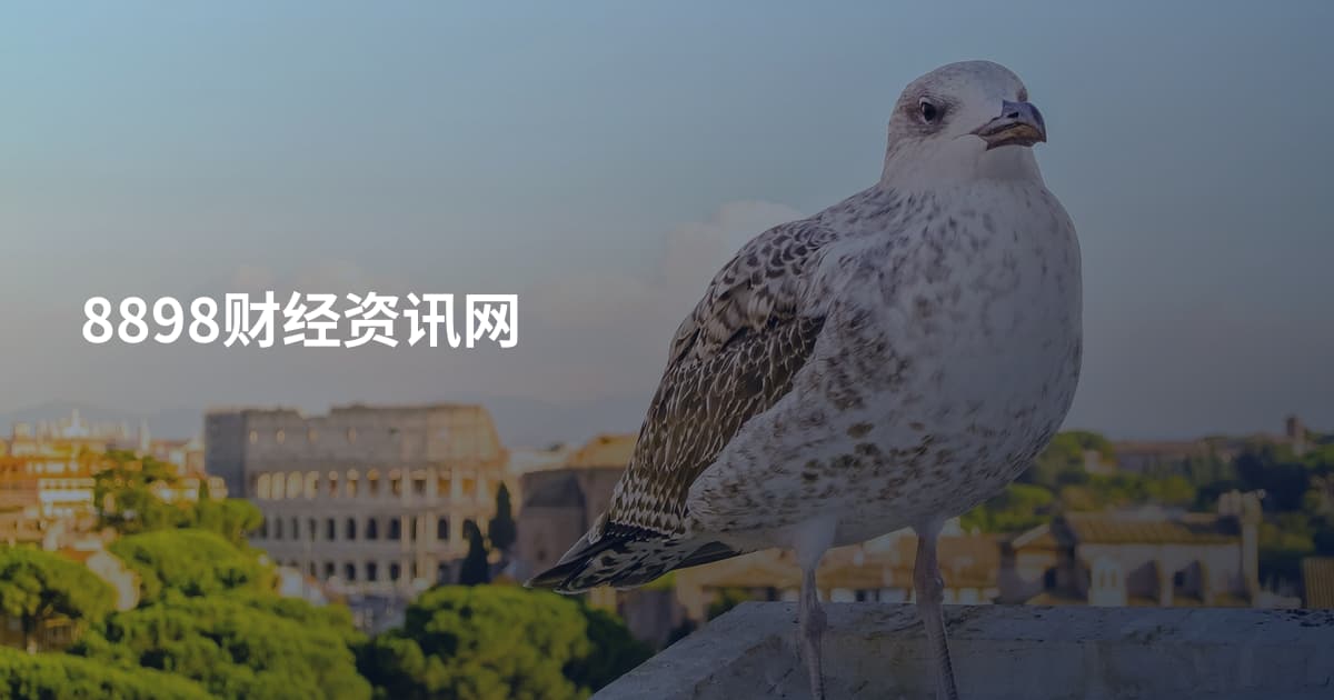 8898财经资讯网