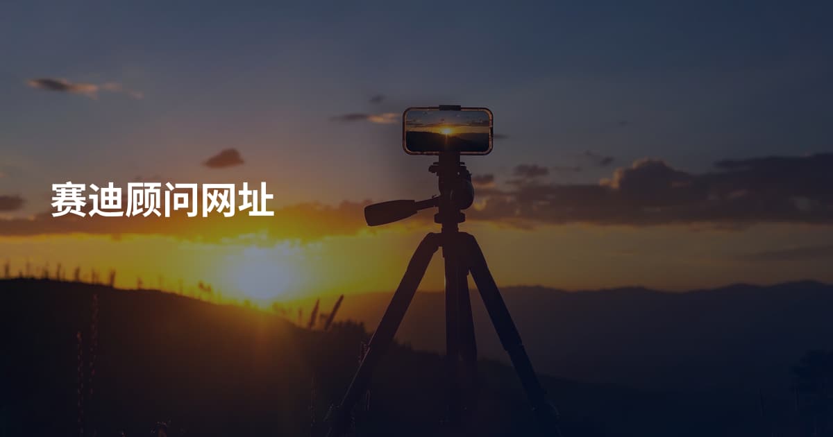 赛迪顾问网址