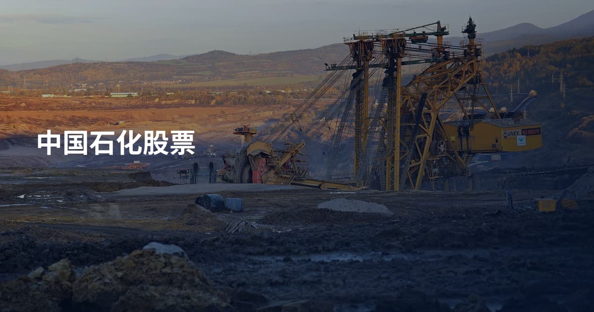 中国石化股票