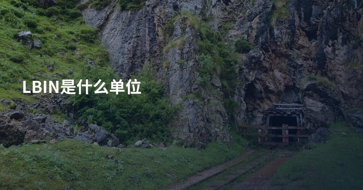LBIN是什么单位