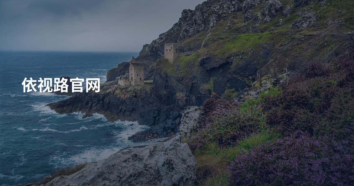 依视路官网