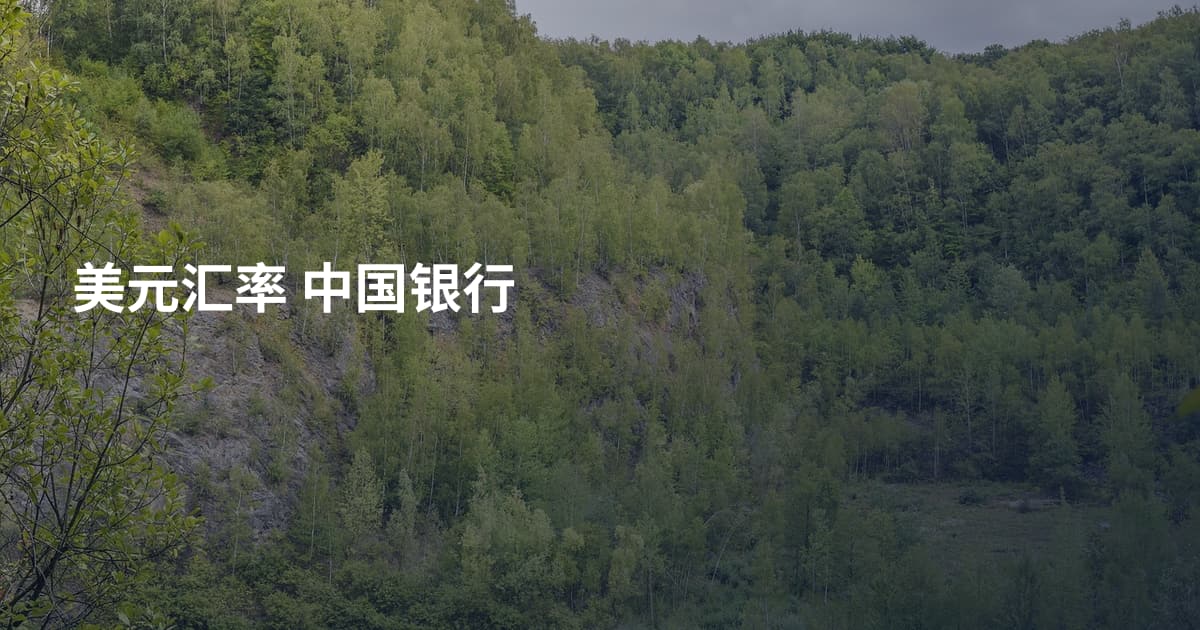 美元汇率 中国银行