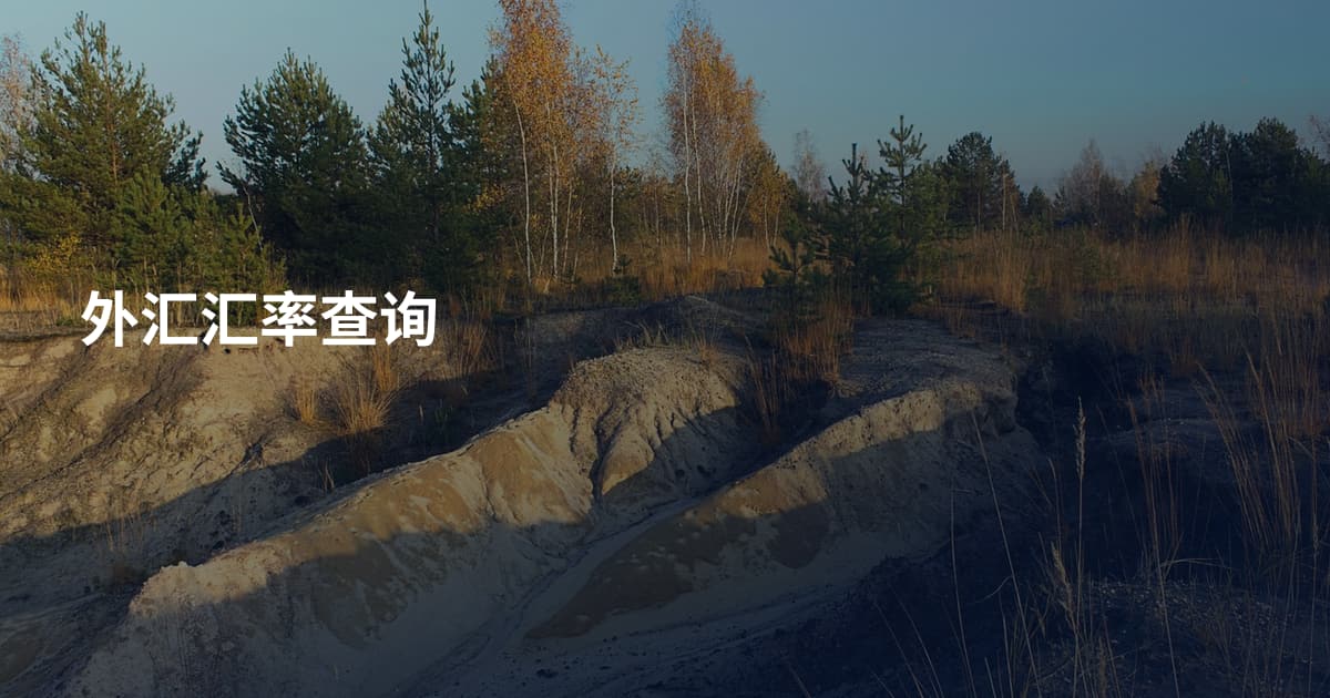外汇汇率查询