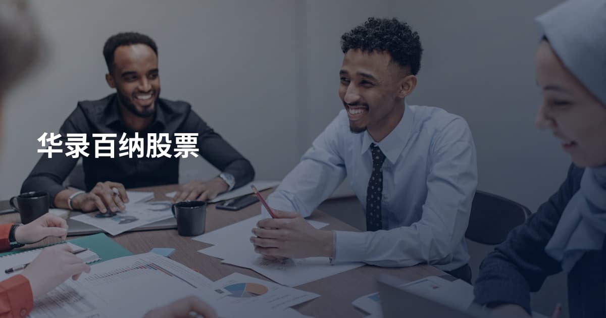 华录百纳股票
