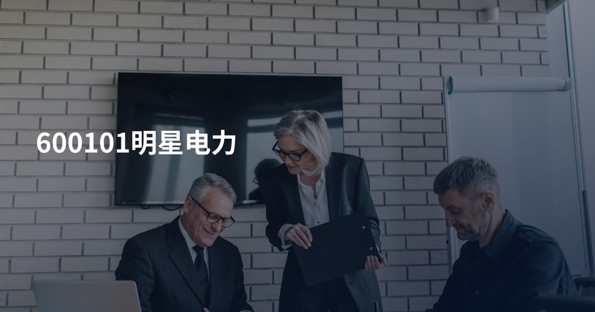 600101明星电力