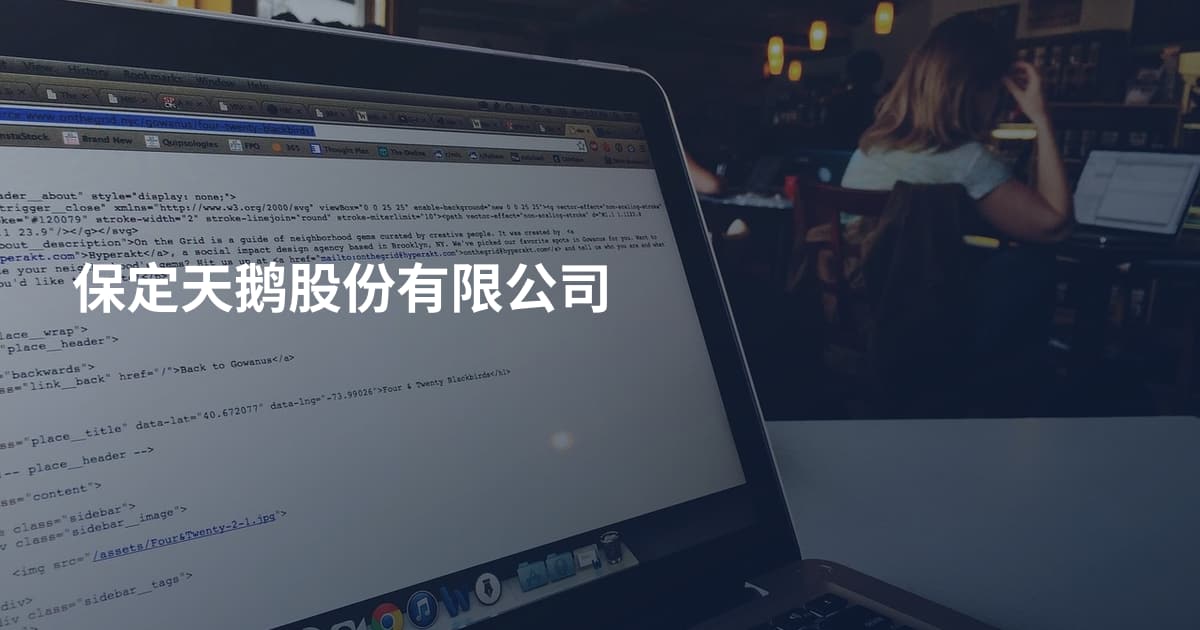 保定天鹅股份有限公司