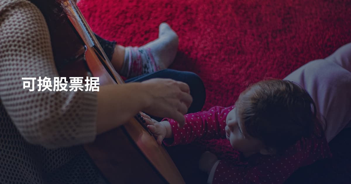 可换股票据