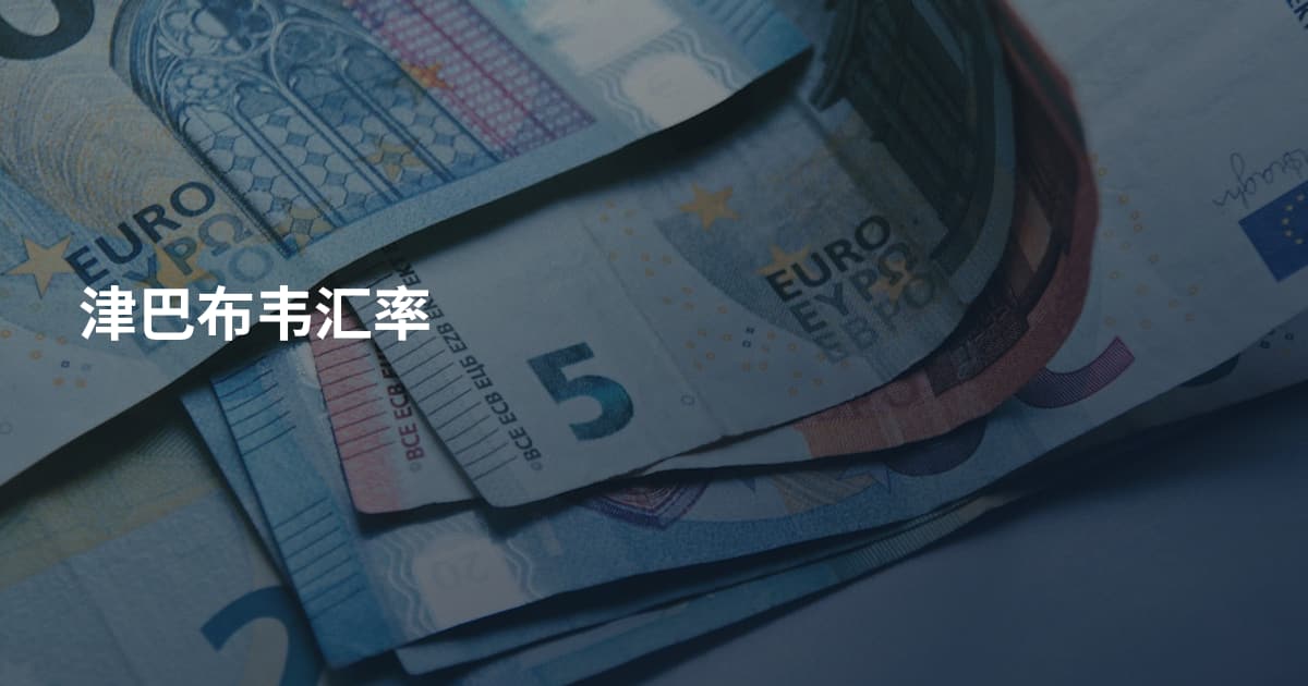 津巴布韦汇率