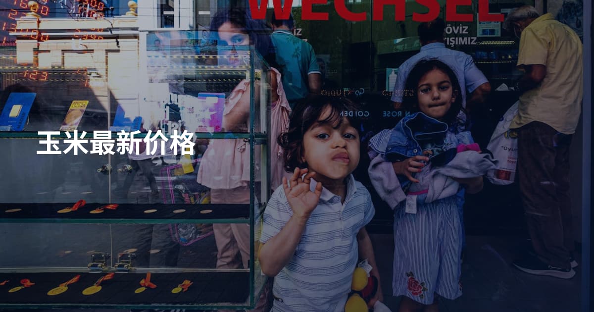 玉米最新价格