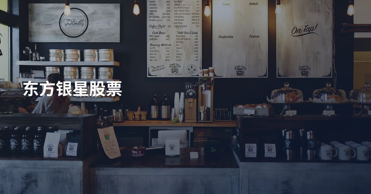 东方银星股票