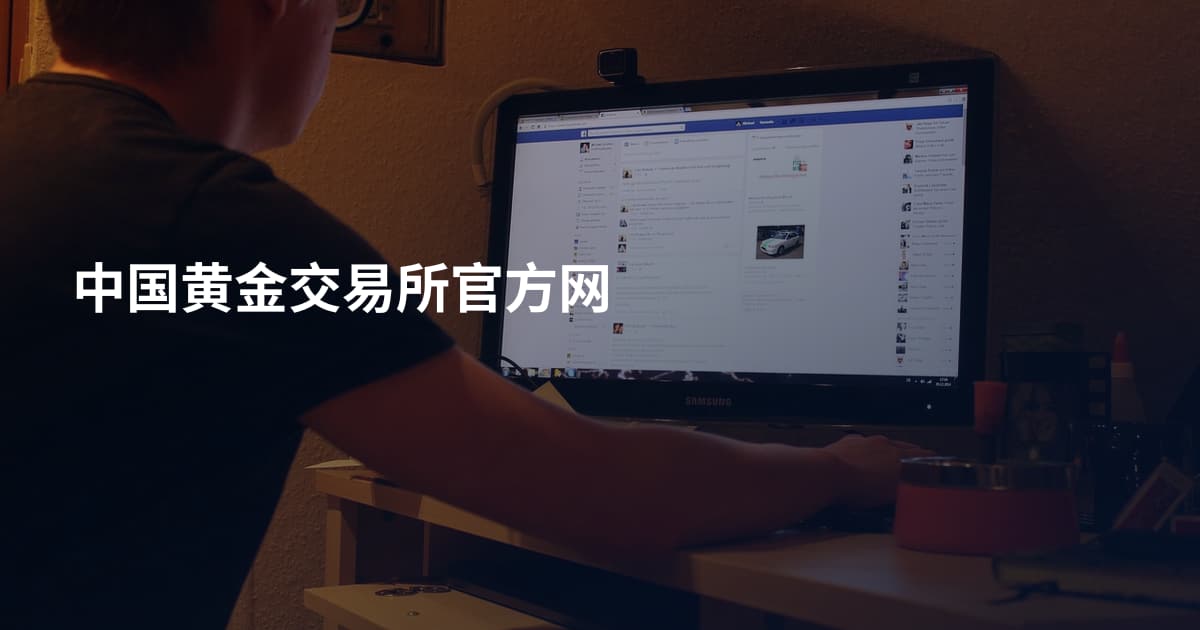 中国黄金交易所官方网