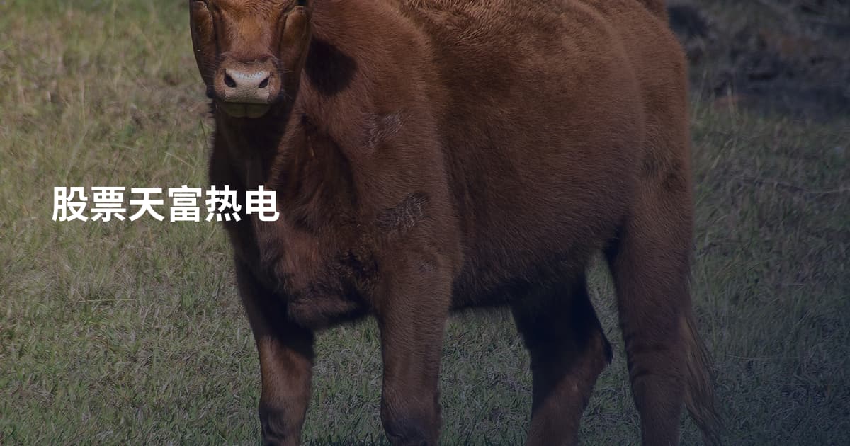 股票天富热电