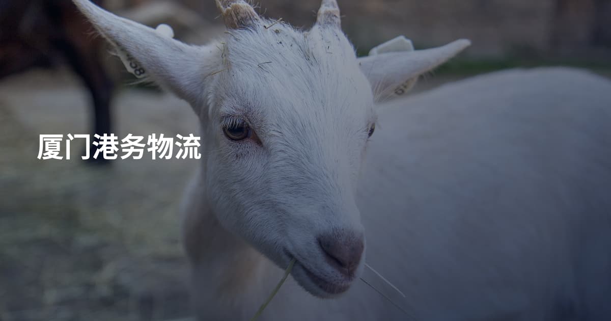 厦门港务物流