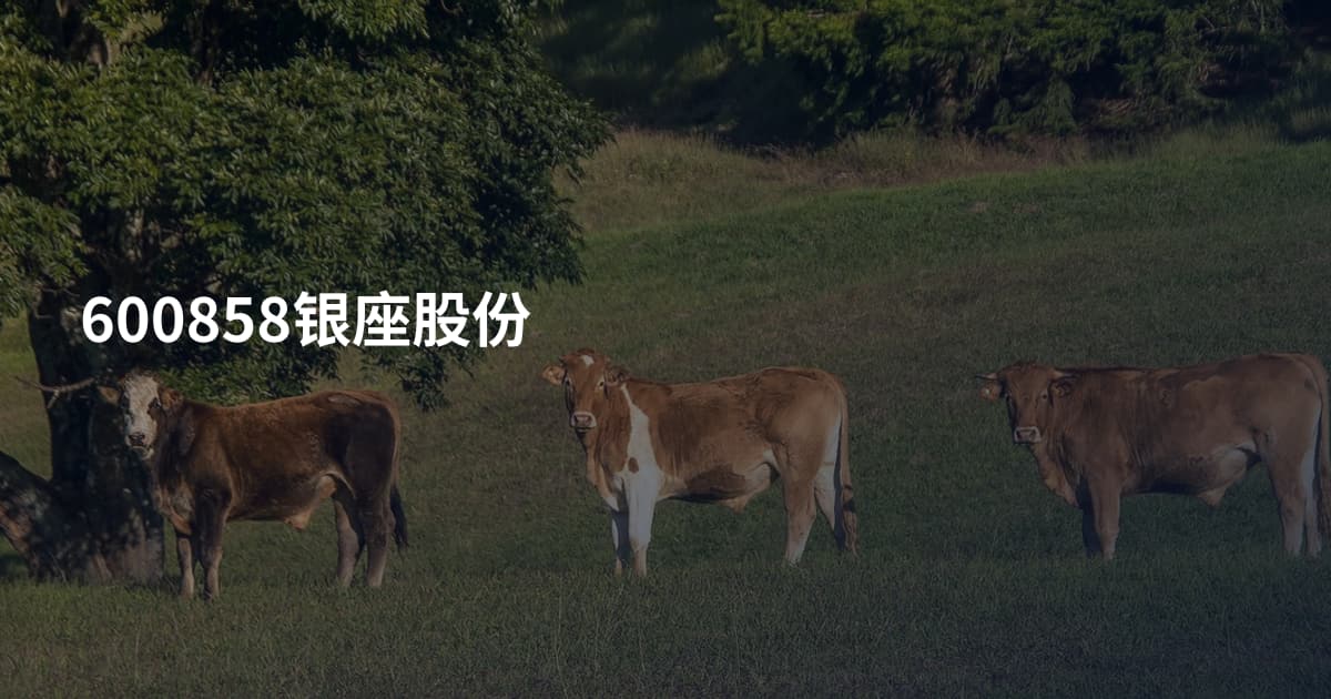 600858银座股份