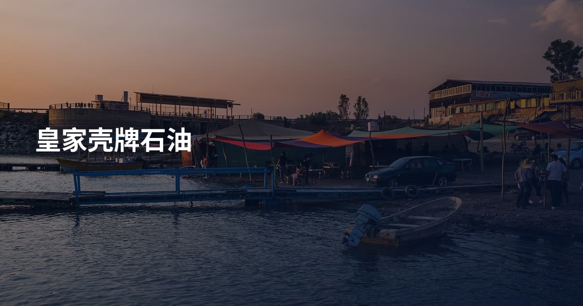 皇家壳牌石油