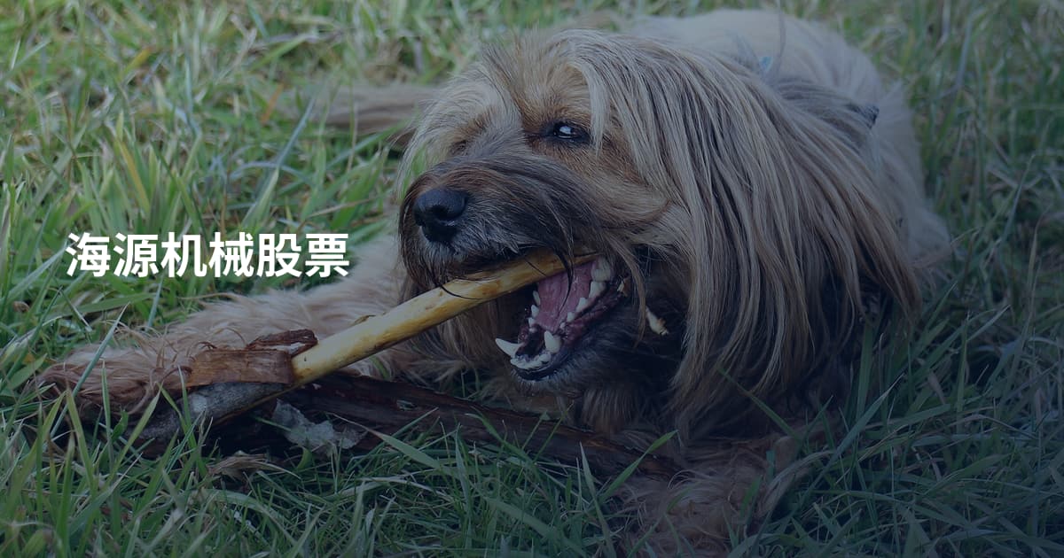 海源机械股票