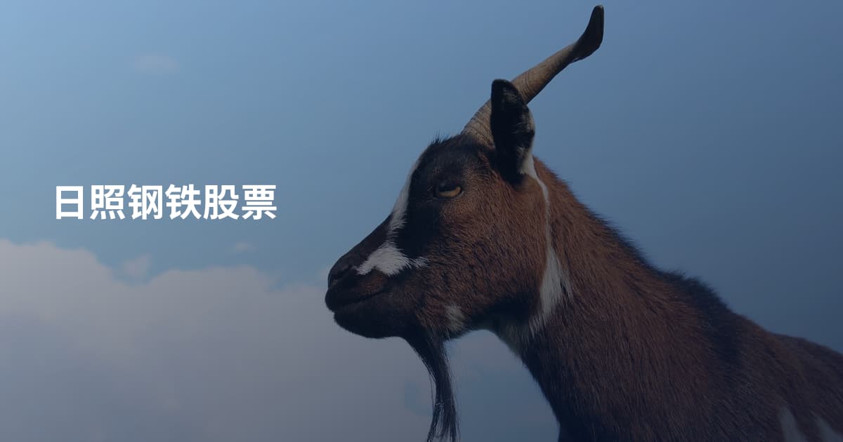 日照钢铁股票