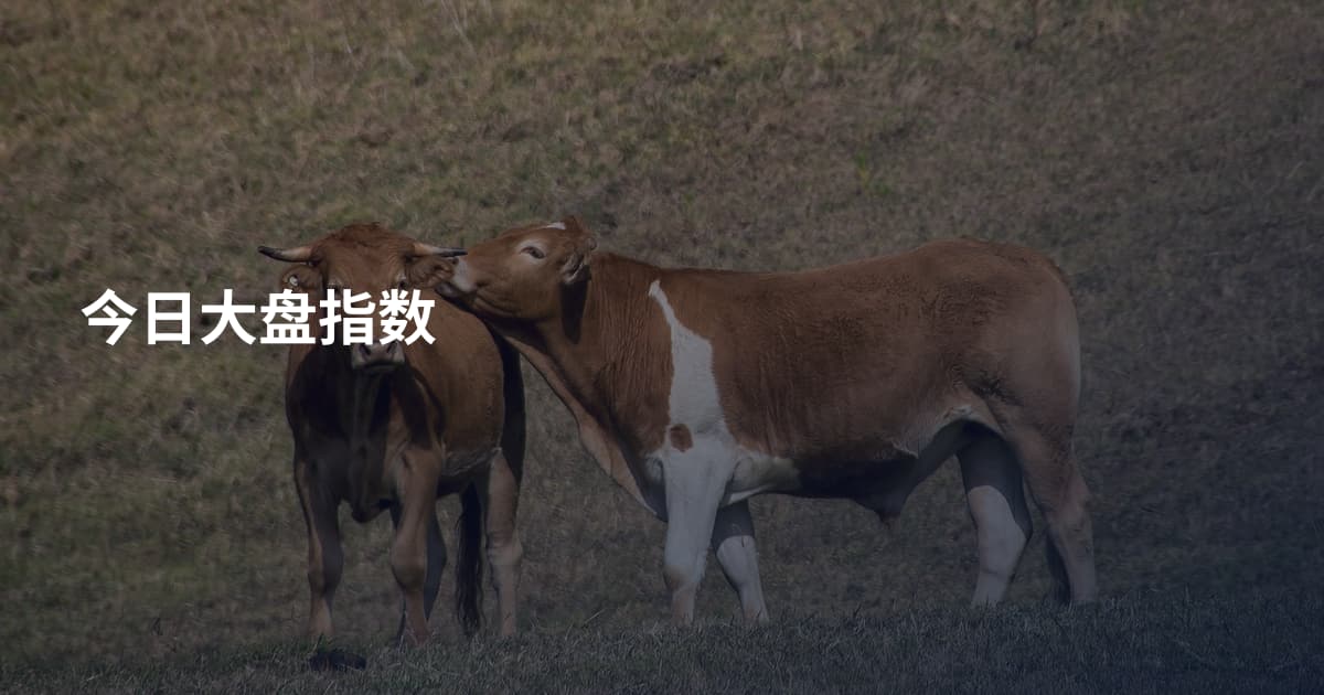 今日大盘指数