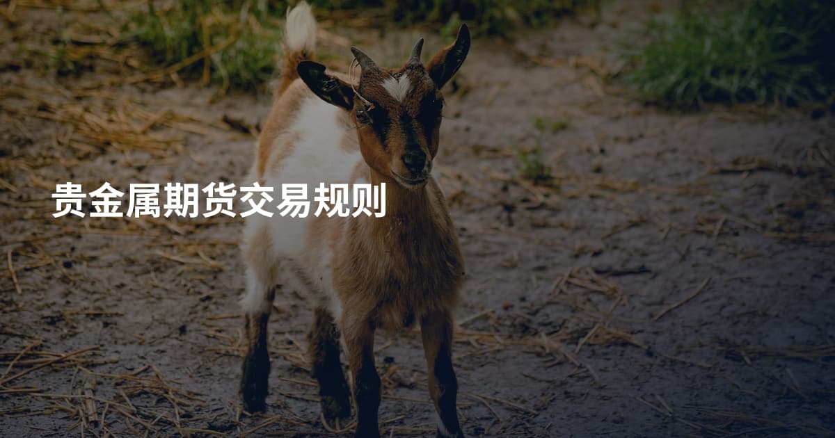 贵金属期货交易规则