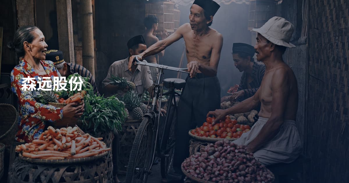 森远股份