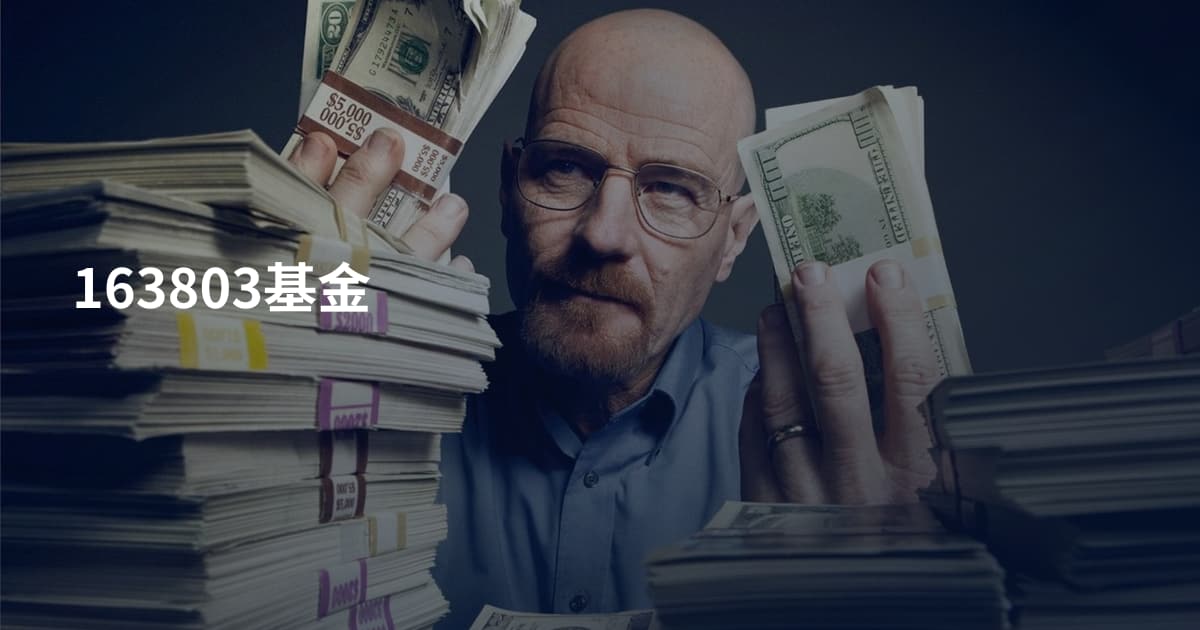 163803基金