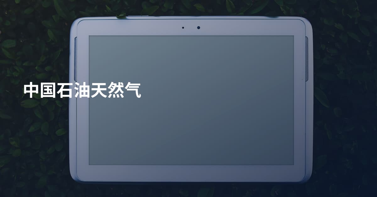 中国石油天然气