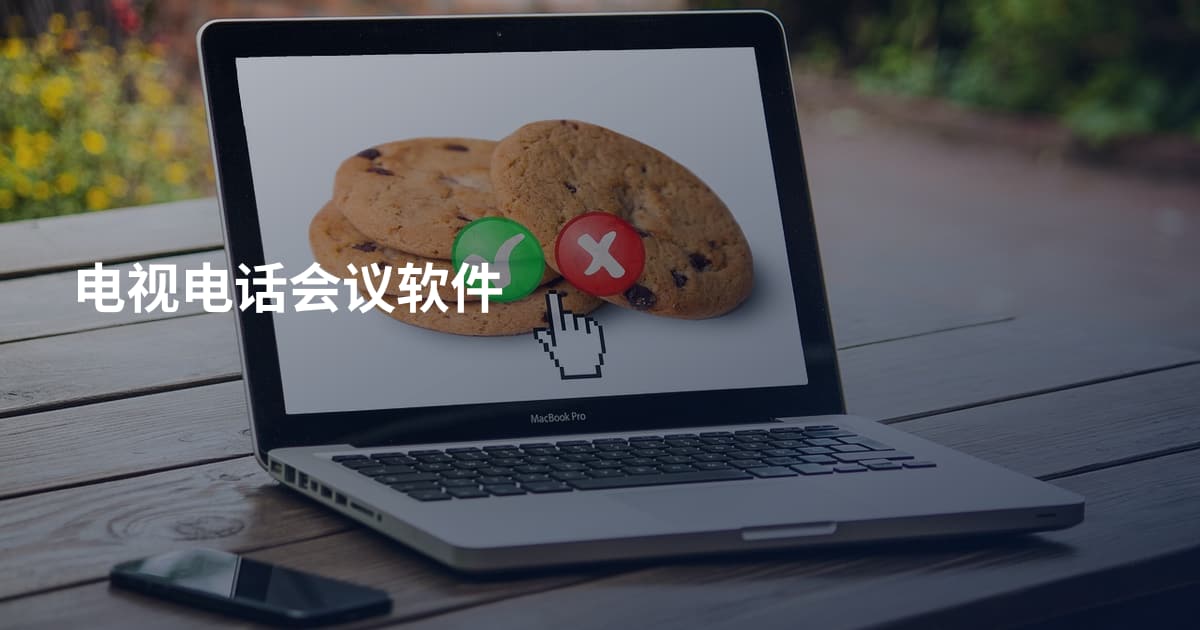 电视电话会议软件