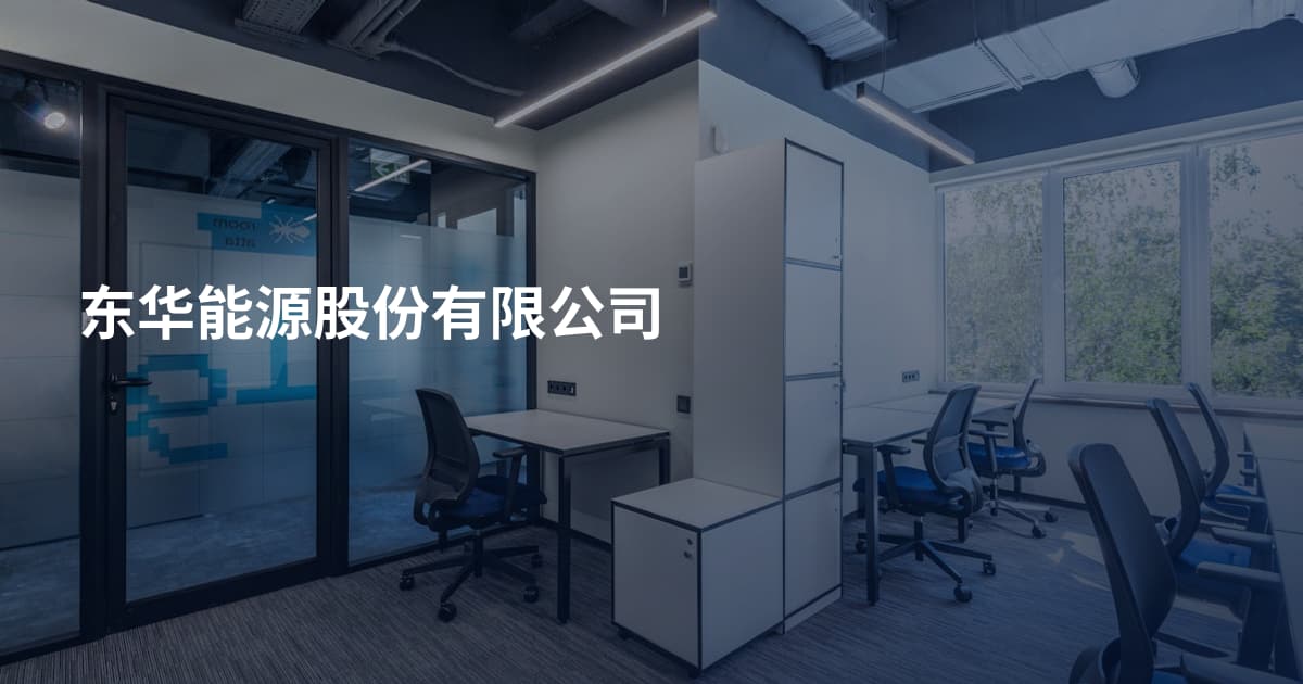东华能源股份有限公司