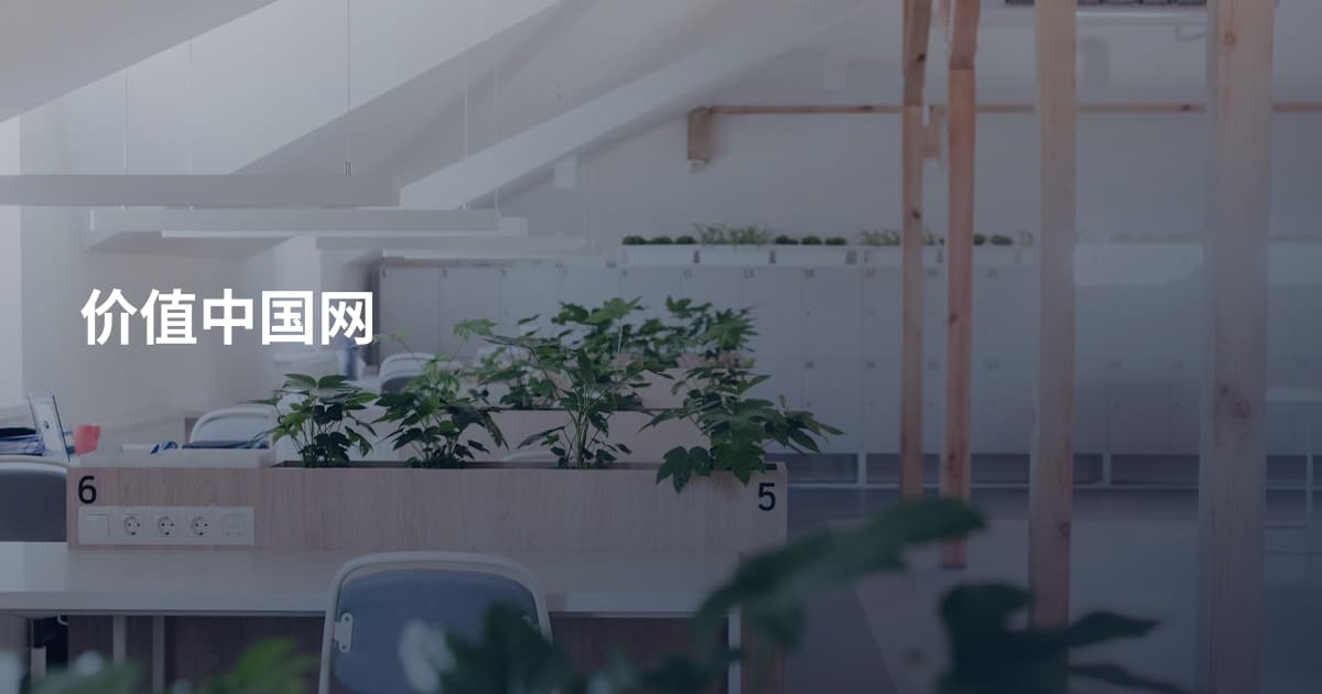 价值中国网