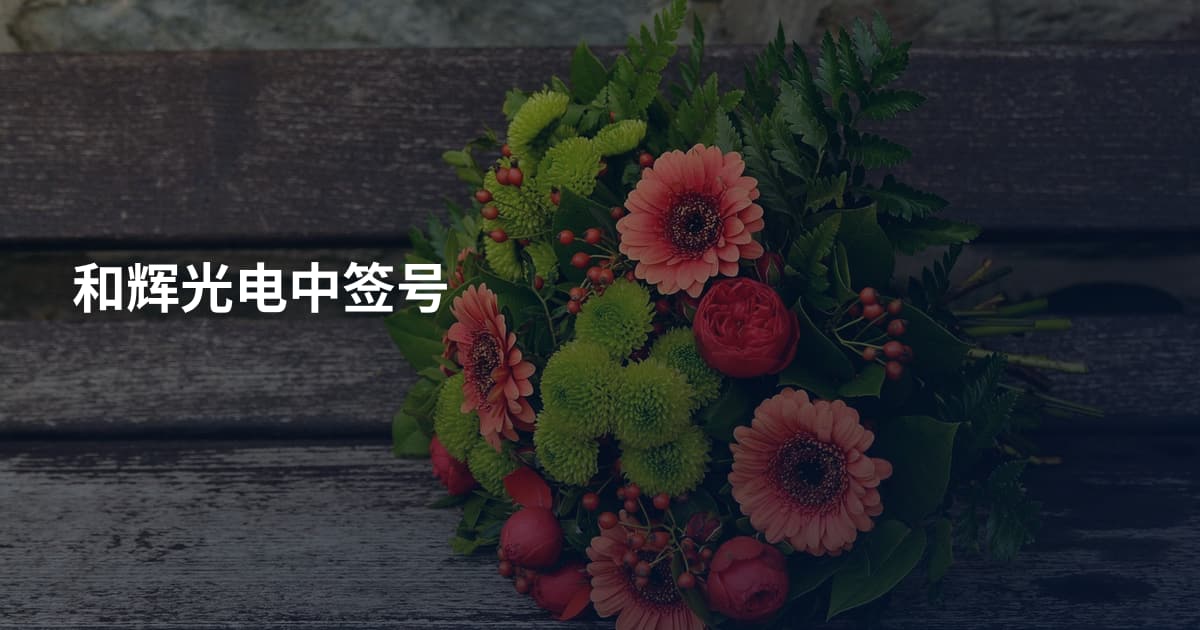 和辉光电中签号