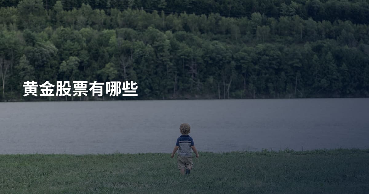 黄金股票有哪些