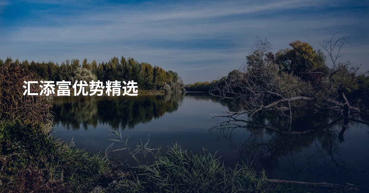 汇添富优势精选