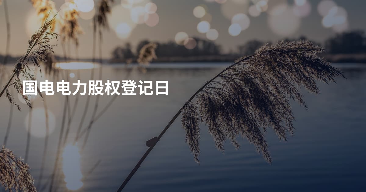 国电电力股权登记日