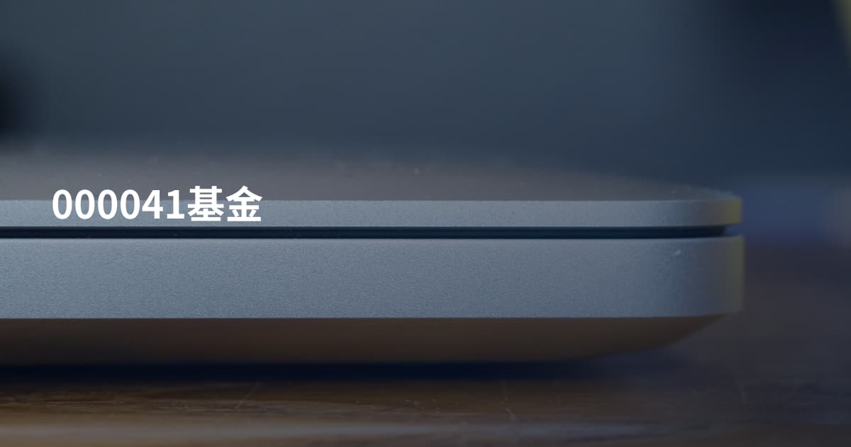 000041基金