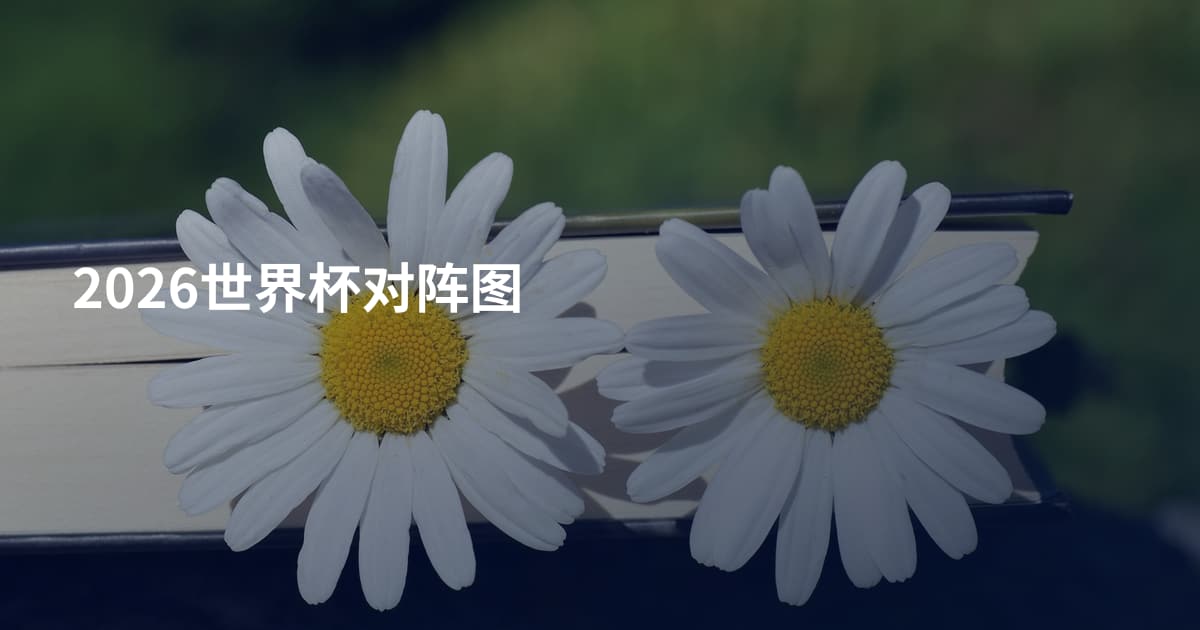2026世界杯对阵图
