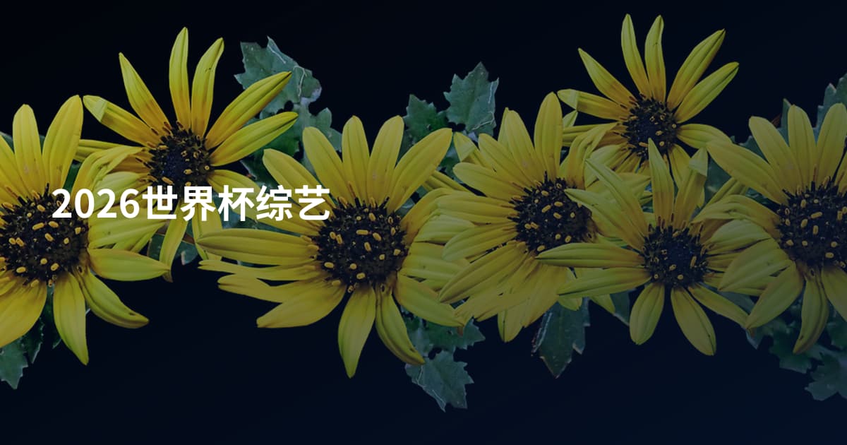 2026世界杯综艺