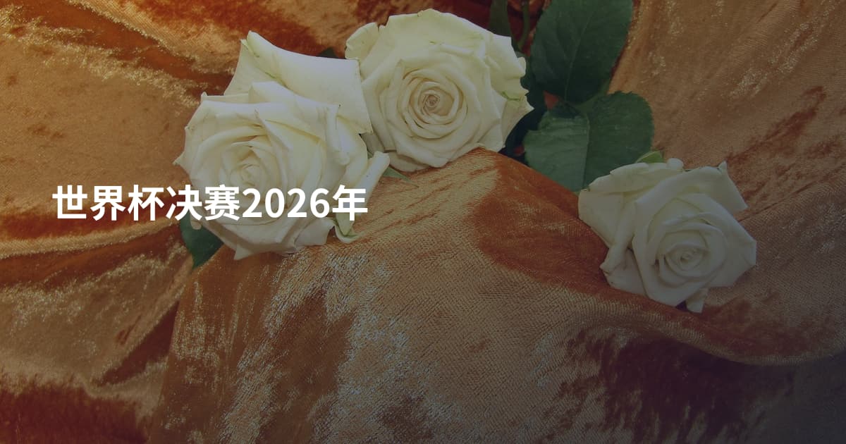 世界杯决赛2026年