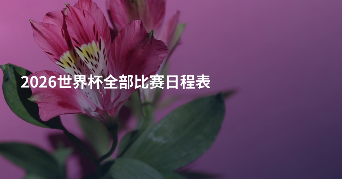 2026世界杯全部比赛日程表