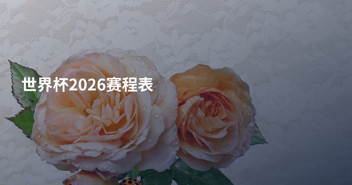 世界杯2026赛程表